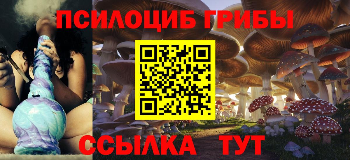 Саратов  сколько стоит  Вход с VPN  Псилоцибиновые грибы Cubensis 